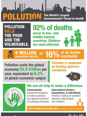 Global alliance on health and pollution 